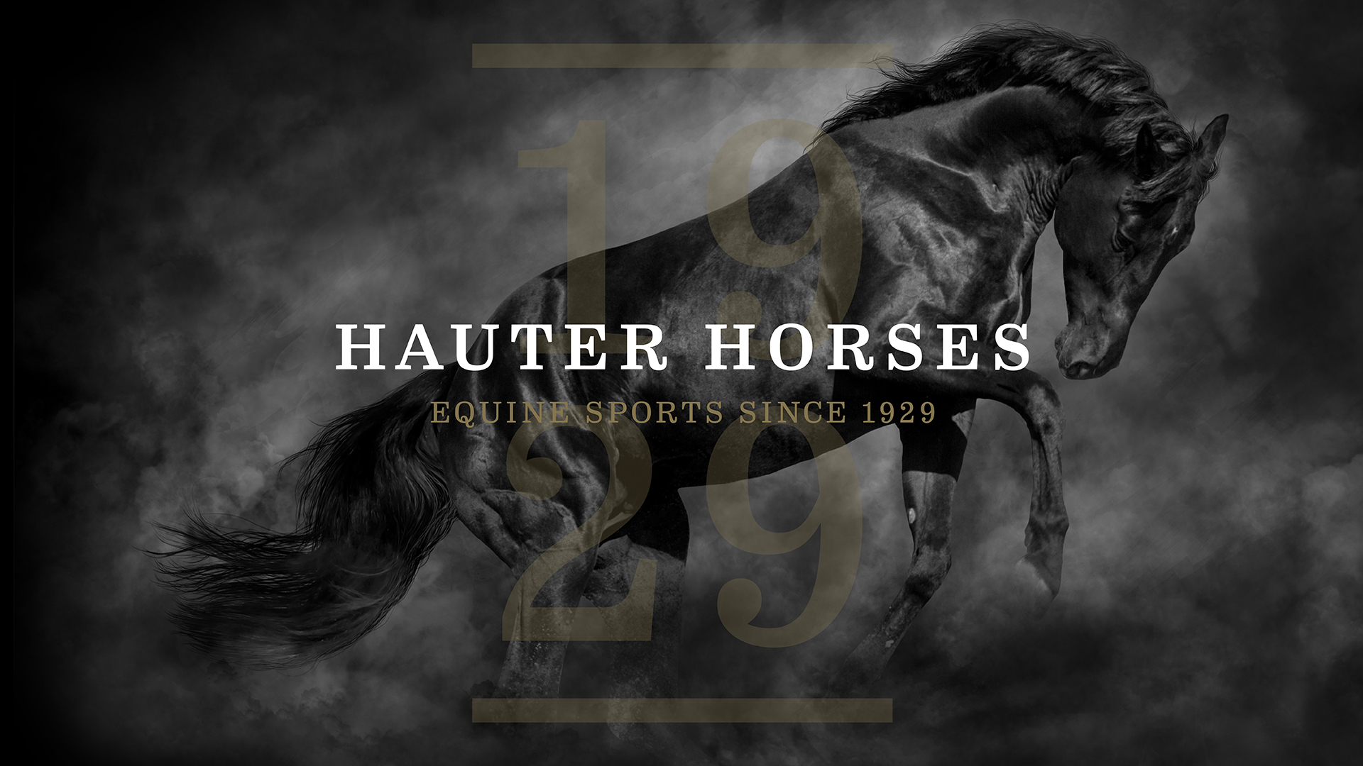 Hauter Horses